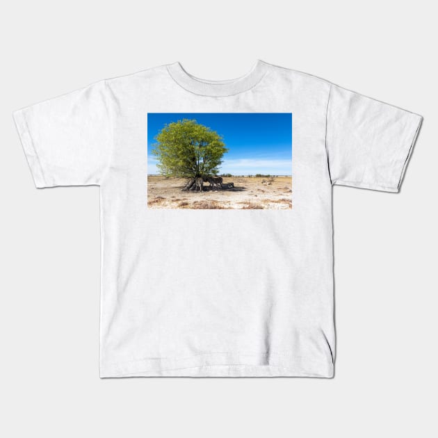 Zebras in the Shadow of the Only Tree - Etosha, Namibia Kids T-Shirt by holgermader